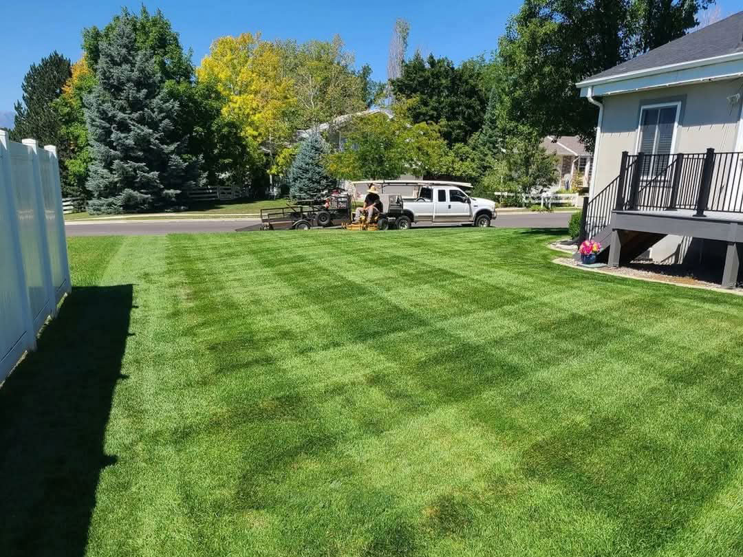 Cross-hatched professional lawn mowing pattern Utah County - Premium lawn care service