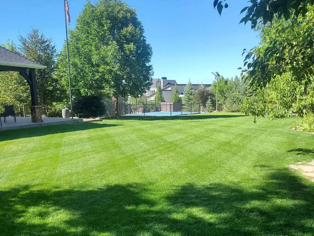 Professional lawn mowing and maintenance services Utah County - Top rated landscaping company